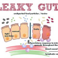 petanda-leaky-gut