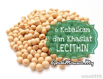 kebaikan-dan-khasiat-lecithin
