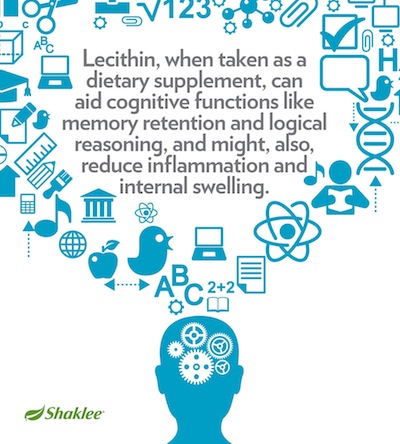 khasiat-lecithin-fungsi-kognitif