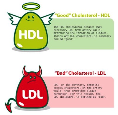 plak-kolesterol-hdl-ldl