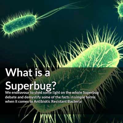 kerintangan-antibiotic-superbug