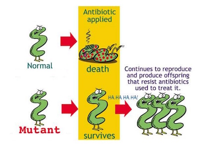 konsep-kerintangan-antibiotik